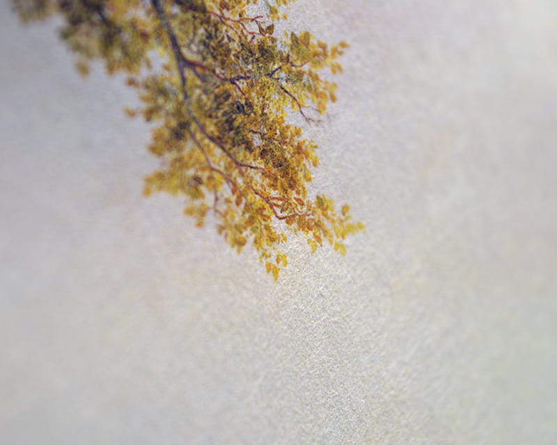Murakumo Natural, 42g (Ohut japanilainen paperi, luonnollinen)  14