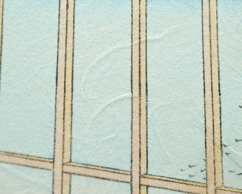 Premio Unryu, 165g (Washi sameilla kozo -kuiduilla)  11