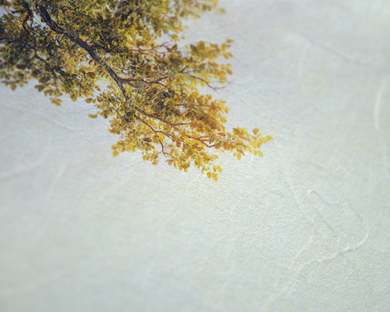 Unryu, 55g (Washi sameilla kozo -kuiduilla)  16