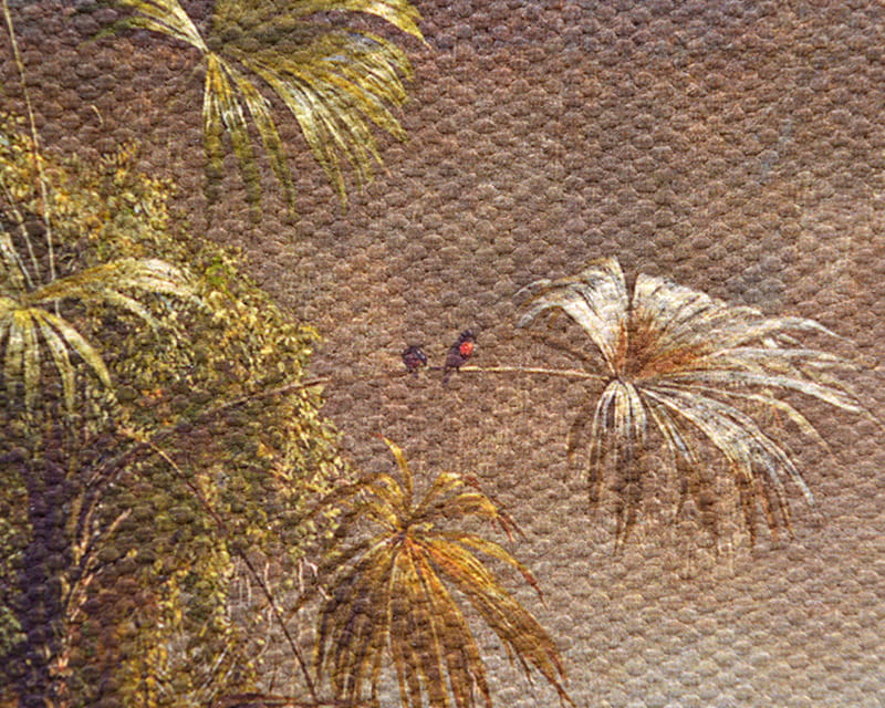 Canvas Salvador (matta) (Kangas Firenze)  16