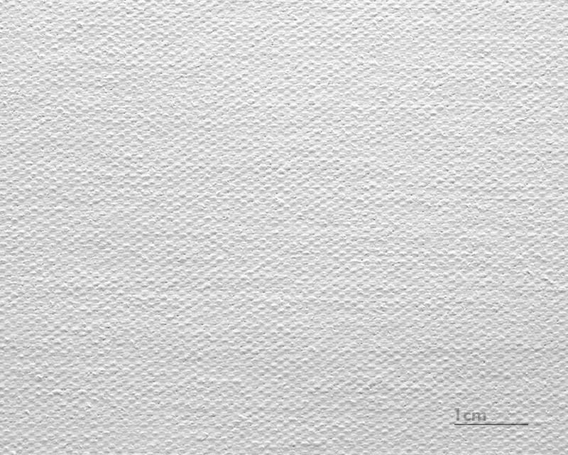 Canvas Leonardo (satiini) (Kangas Venetsia)  1