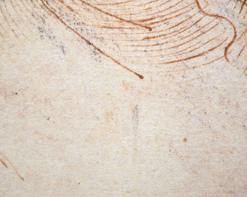 FineArt Photo Matta (Museum Luonnollisen Pehmeä)  15