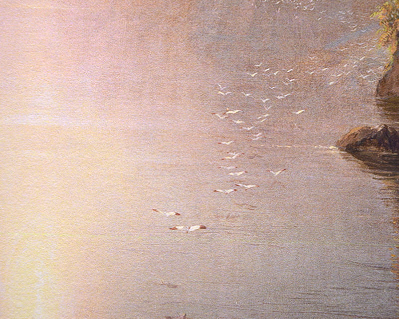 FineArt Photo Matta (Museum Luonnollisen Pehmeä)  26