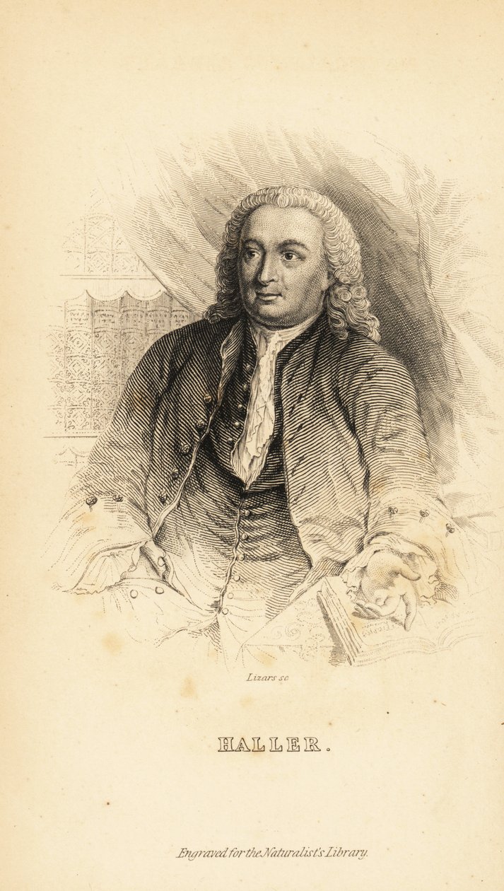 Albrecht von Haller, sveitsiläinen anatomi, luonnontieteilijä ja runoilija, 1708-1777 tekijältä Unknown