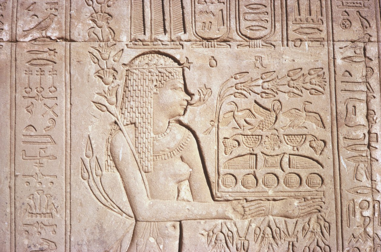 Egypti, Dendara, monimutkaisia seinäkaiverruksia Hathorin temppelin itäseinässä. tekijältä Unknown