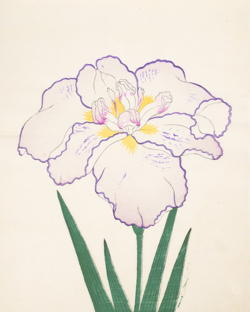 Tanporo, nro 51, 1890 (värillinen puupainatus) tekijältä Japanese School