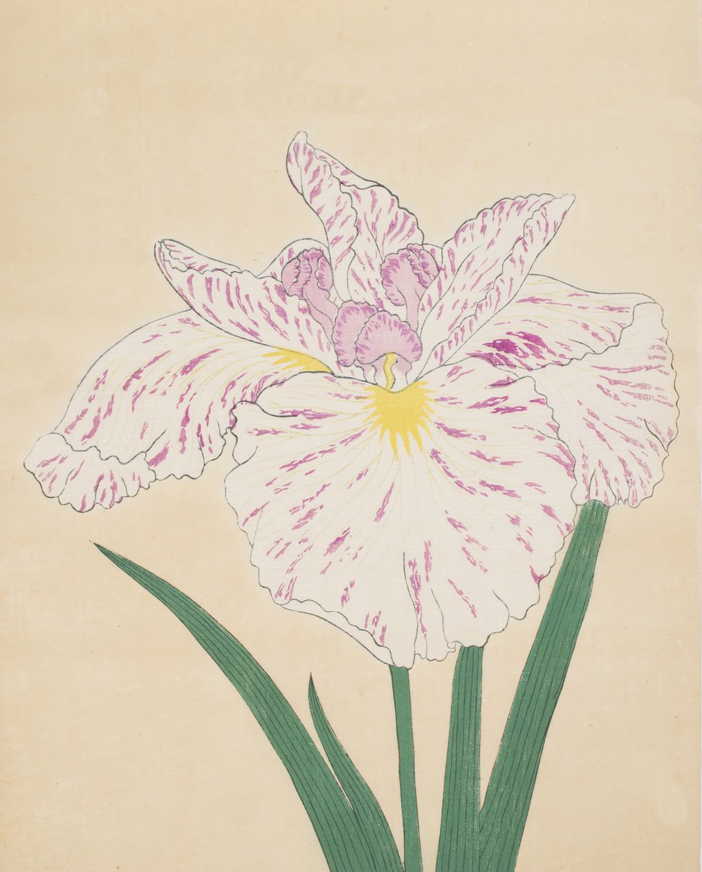 Ujino-joen sumu. 55, 1890 (Tämä on DBock p Hayashi t) tekijältä Japanese School