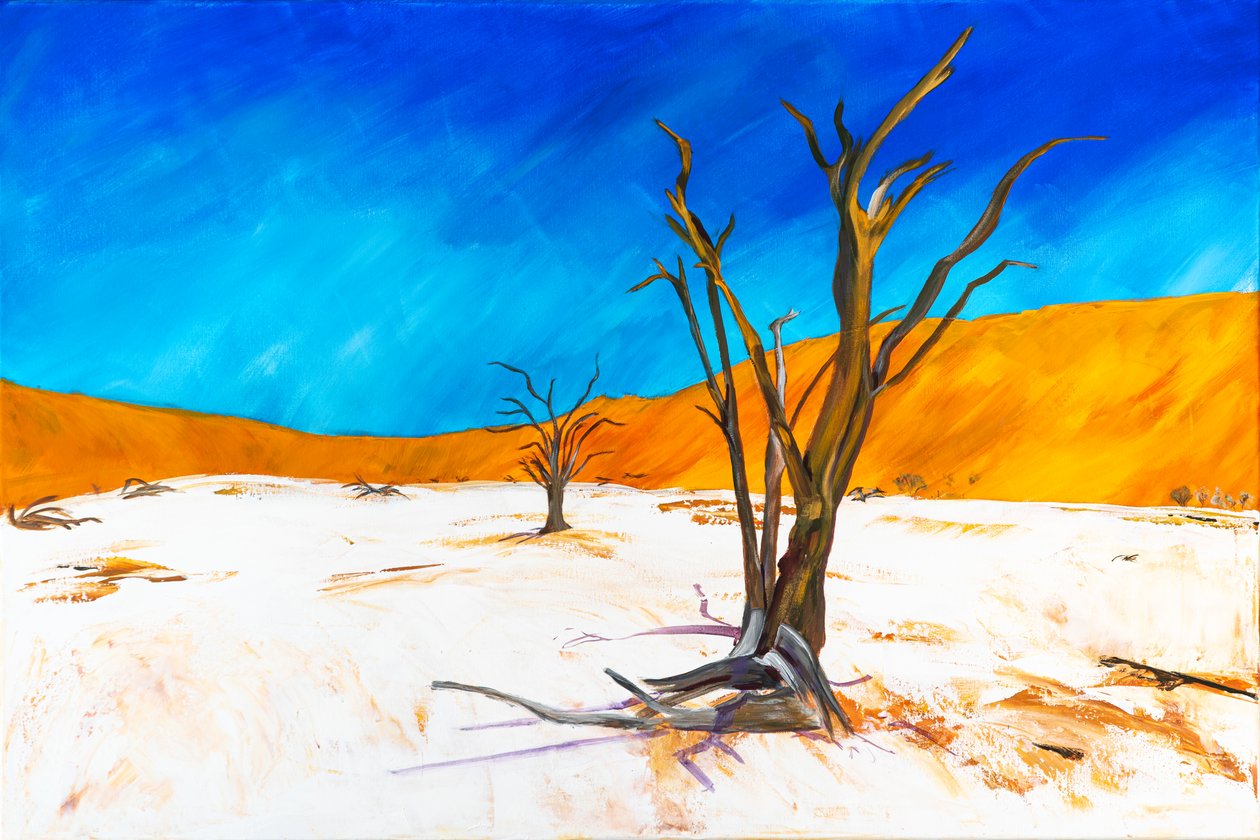 Dead Vlei tekijältä H.Opitz