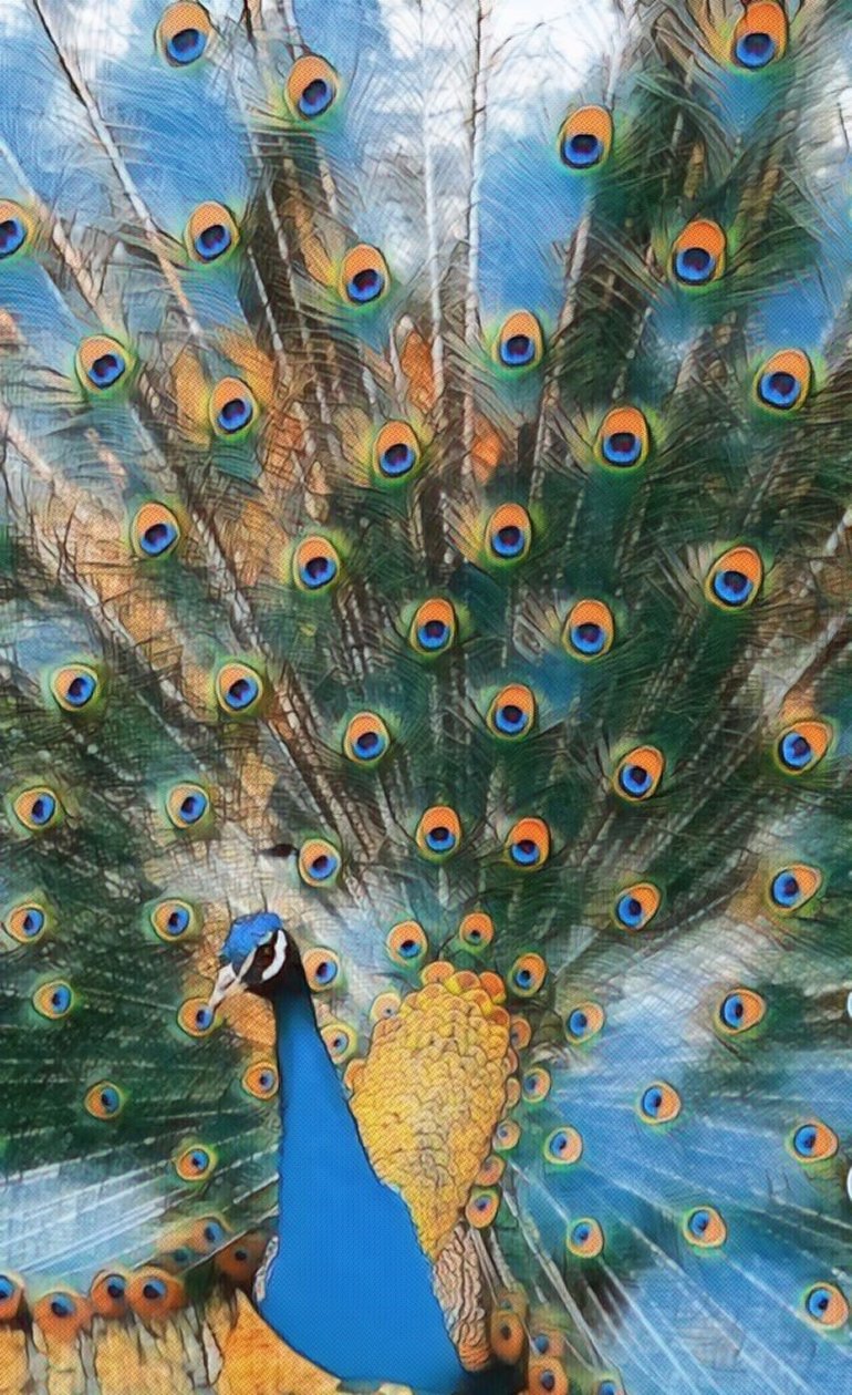 Pavo Real. tekijältä Margareta Uliarte