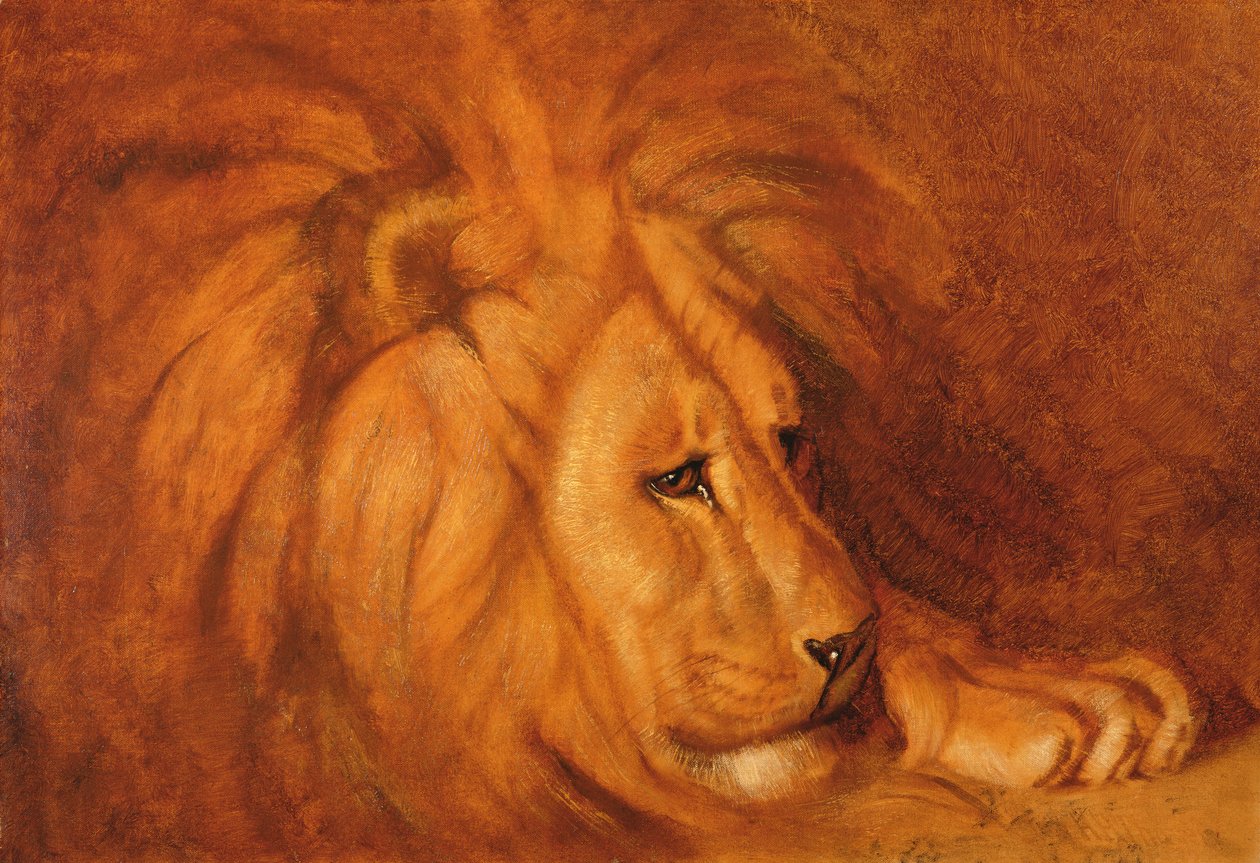 Lion at Rest (öljy kankaalle) tekijältä Abbott Handerson Thayer
