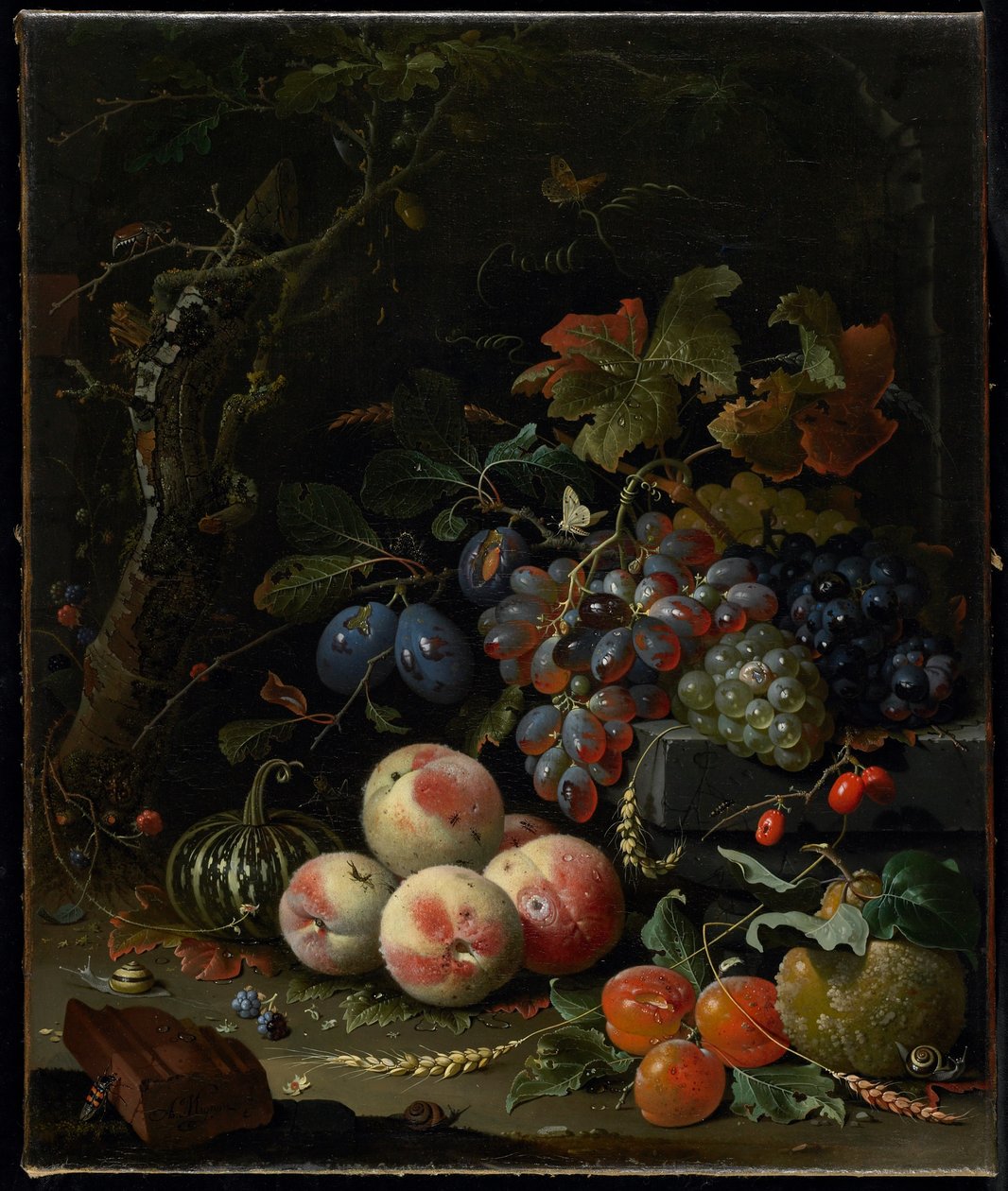 Asetelma hedelmien, lehtien ja hyönteisten kanssa, n. 1669 tekijältä Abraham Mignon