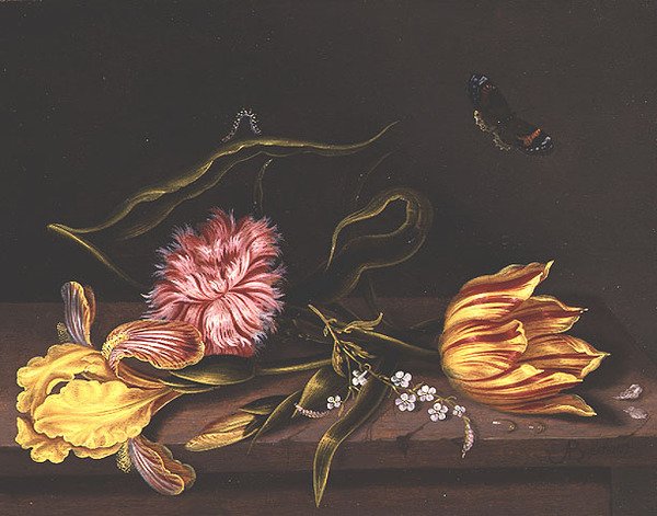 Kukkien asetelma pöydällä, tekijältä Abraham Bosschaert