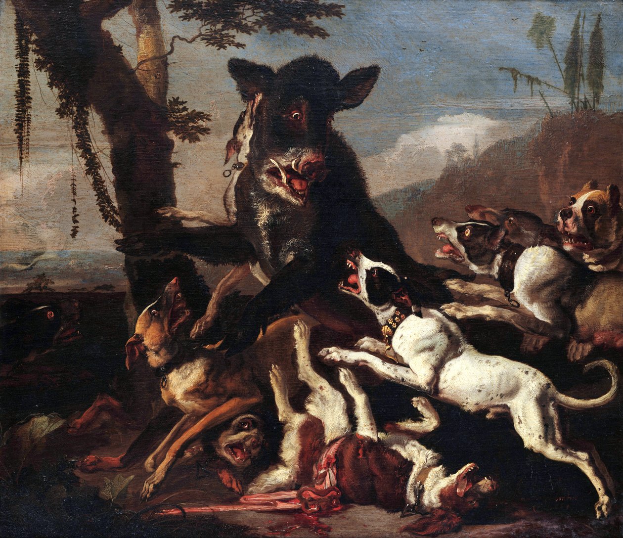 Villisian metsästys tekijältä Abraham Hondius