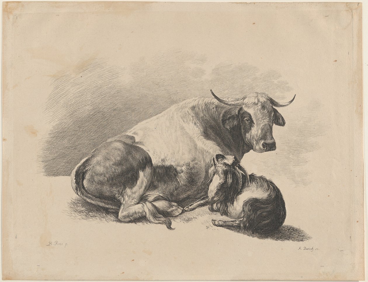 Lehmä ja vuohi makuulla, 1800-01. tekijältä Adam von Bartsch