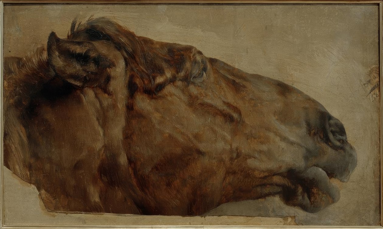 Pferdestudie. Kopf in Seitenansicht nach rechts tekijältä Adolph Menzel