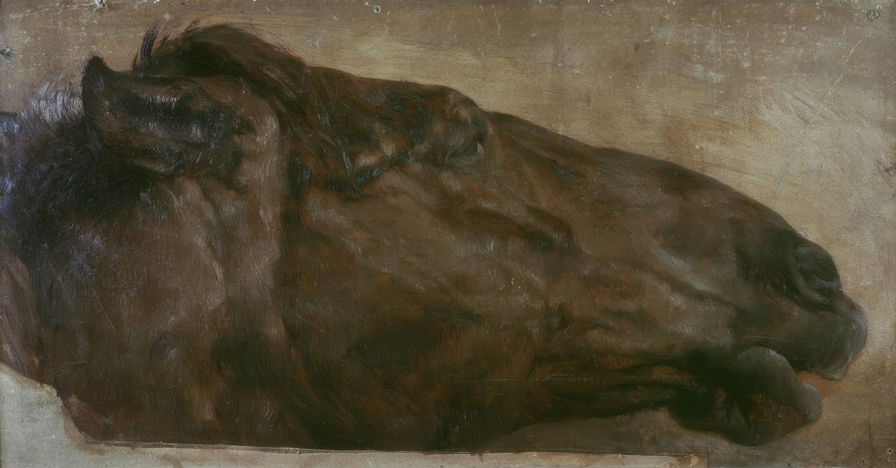 Pferdestudie. Kopf in Seitenansicht nach rechts tekijältä Adolph Menzel