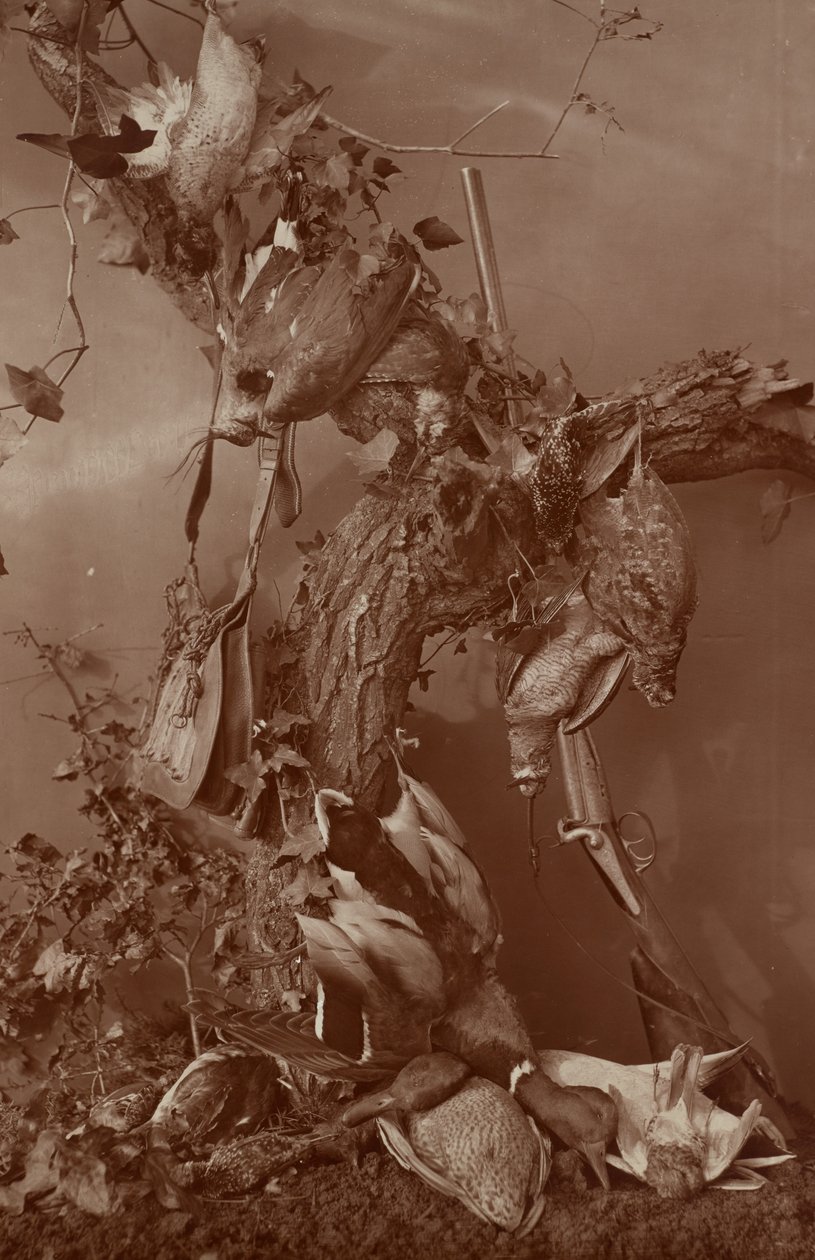 [Still Life: Dead Game] tekijältä Adolphe Braun