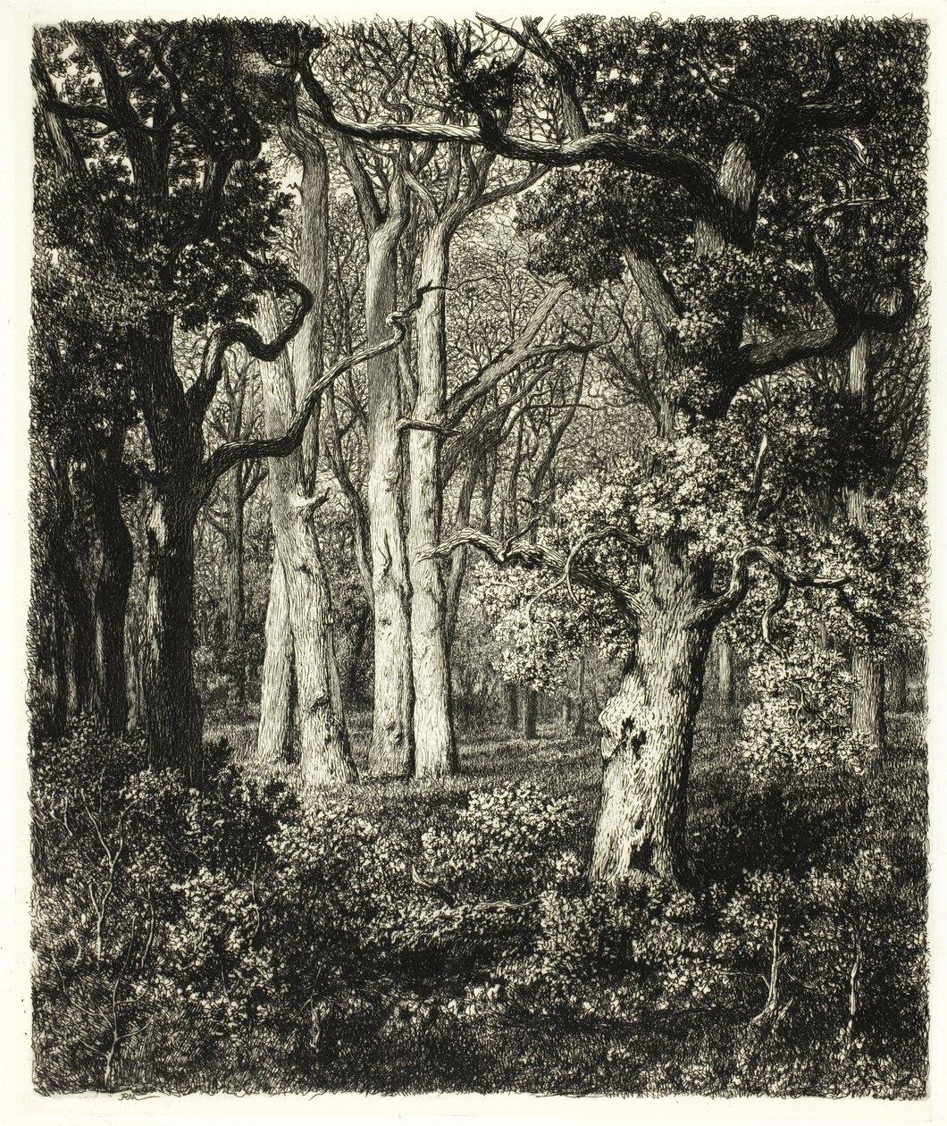 Old Oaks Bas Bréaussa tekijältä Adolphe Martial Potemont