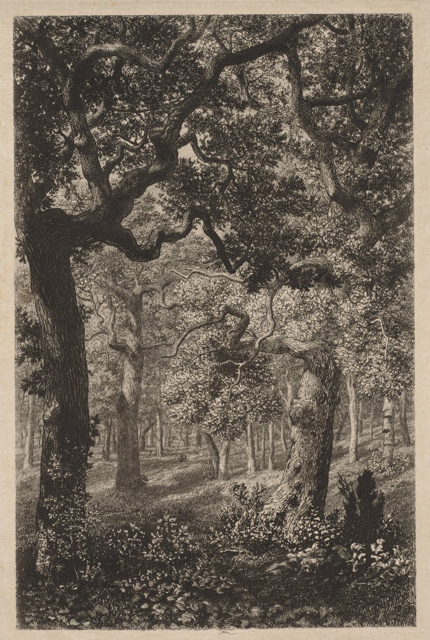 Metsässä tekijältä Adolphe Théodore Jules Martial Potémont