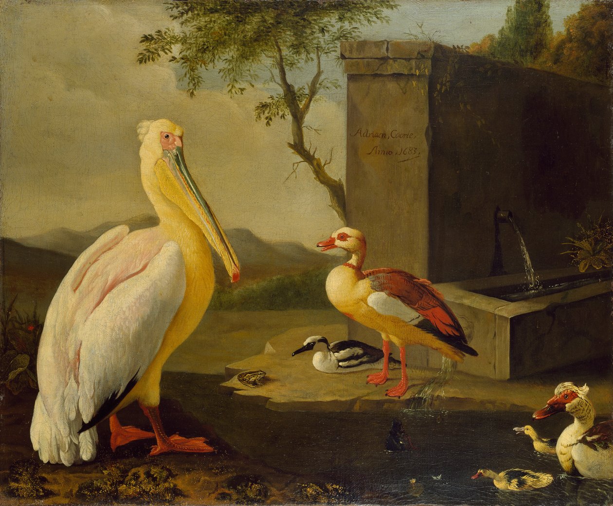Itämaiset linnut, 1683 tekijältä Adrian Coorte
