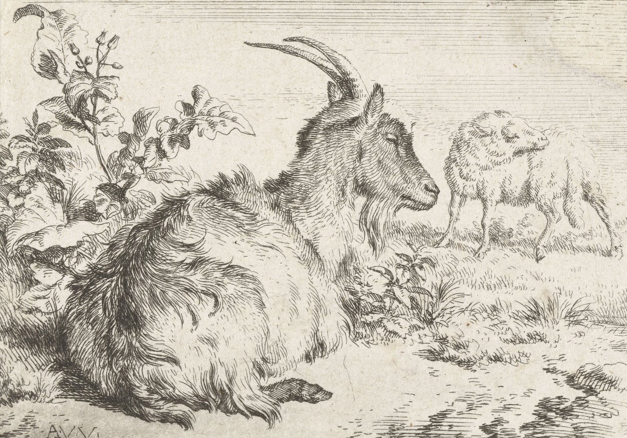 Makaava vuohi, 1670 tekijältä Adriaen van de Velde