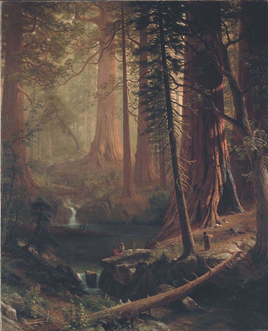 Giant Redwood Trees of California tekijältä Albert Bierstadt