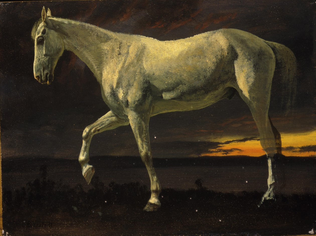 Valkoinen hevonen ja auringonlasku tekijältä Albert Bierstadt