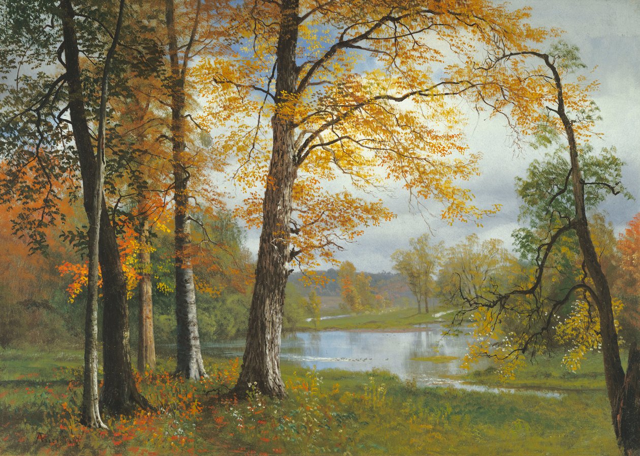 Hiljainen järvi tekijältä Albert Bierstadt