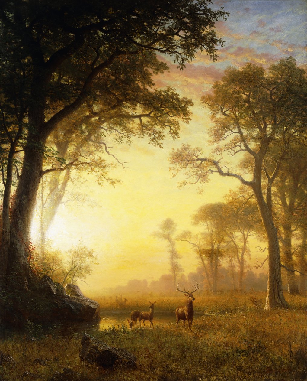 Valoa metsässä, tekijältä Albert Bierstadt
