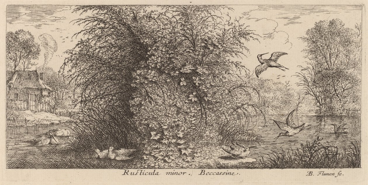 Rusticula minor, Snipe tekijältä Albert Flamen