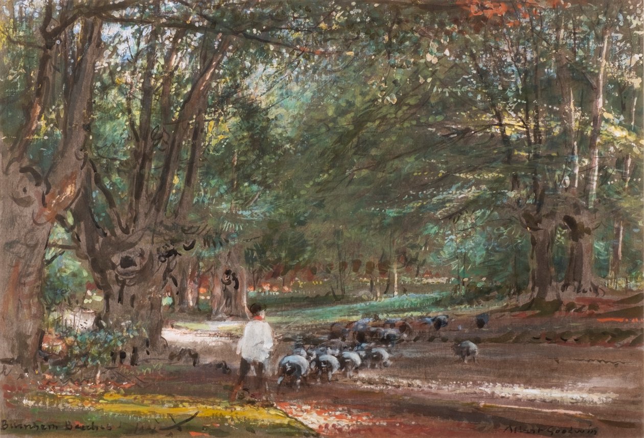 Burnham Beeches (akvarelli ja vartalovärit) tekijältä Albert Goodwin