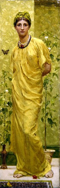 Neilikat tekijältä Albert Joseph Moore