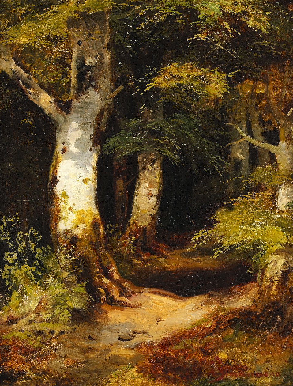 Metsäautotie tekijältä Albert Zimmermann
