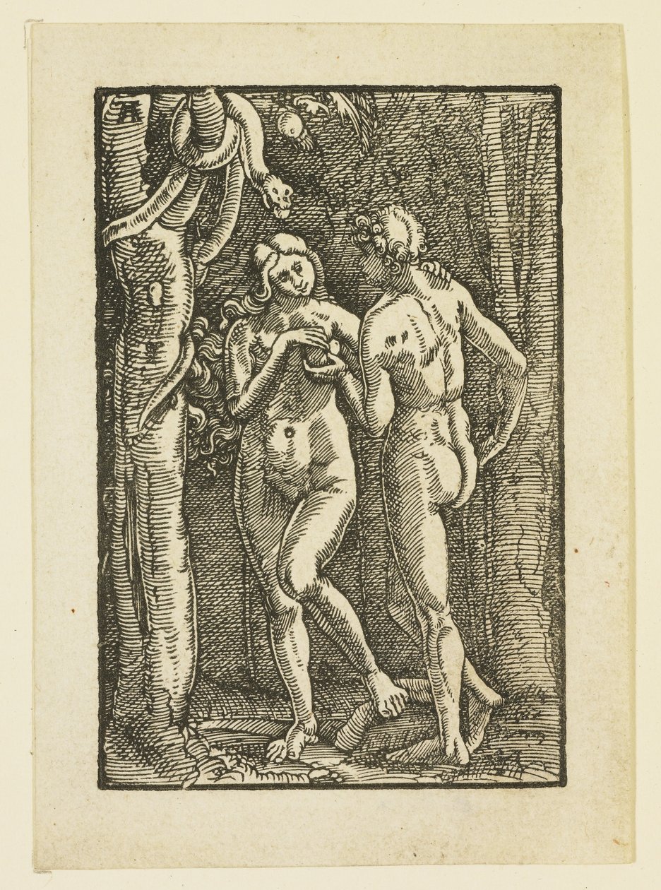 Adam ja Eeva syövät kiellettyä hedelmää, n. 1513 tekijältä Albrecht Altdorfer