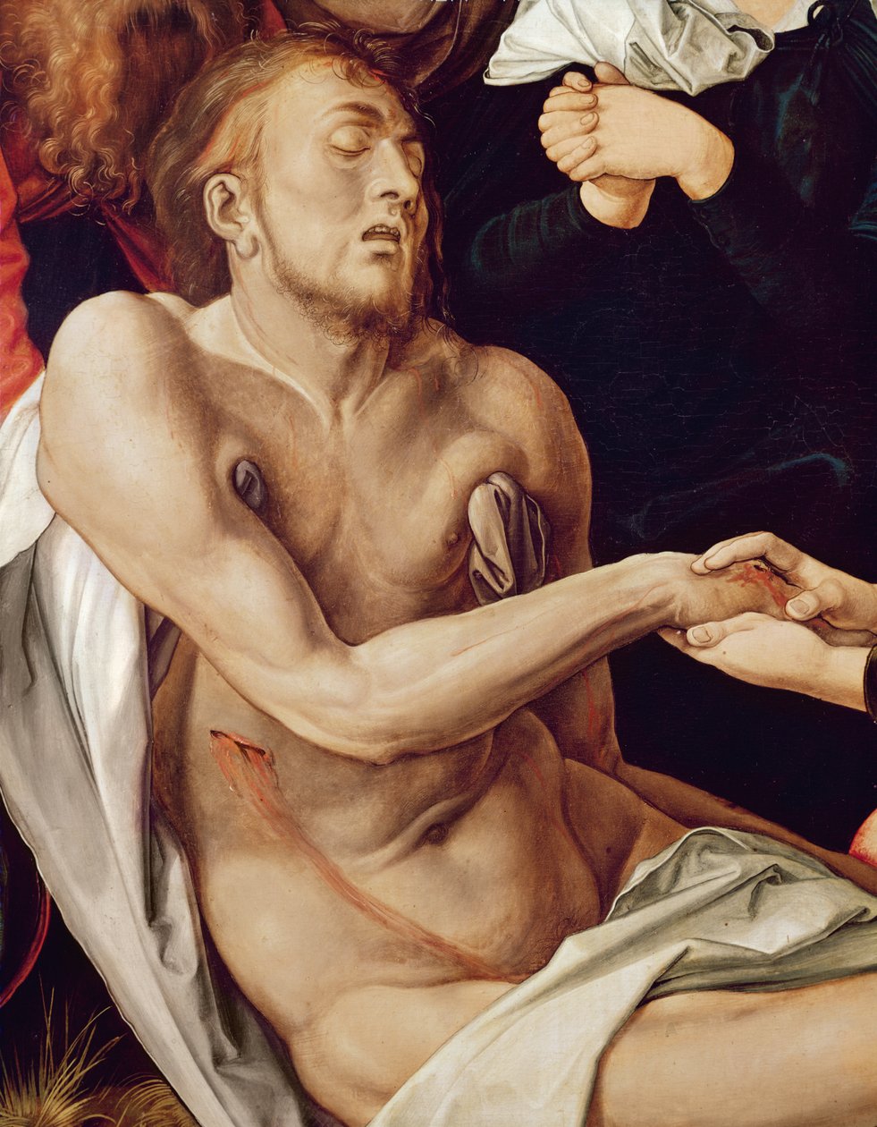 Yksityiskohta Valitusvirrestä Kristuksen puolesta, 1500-03 (katso 61055) tekijältä Albrecht Dürer