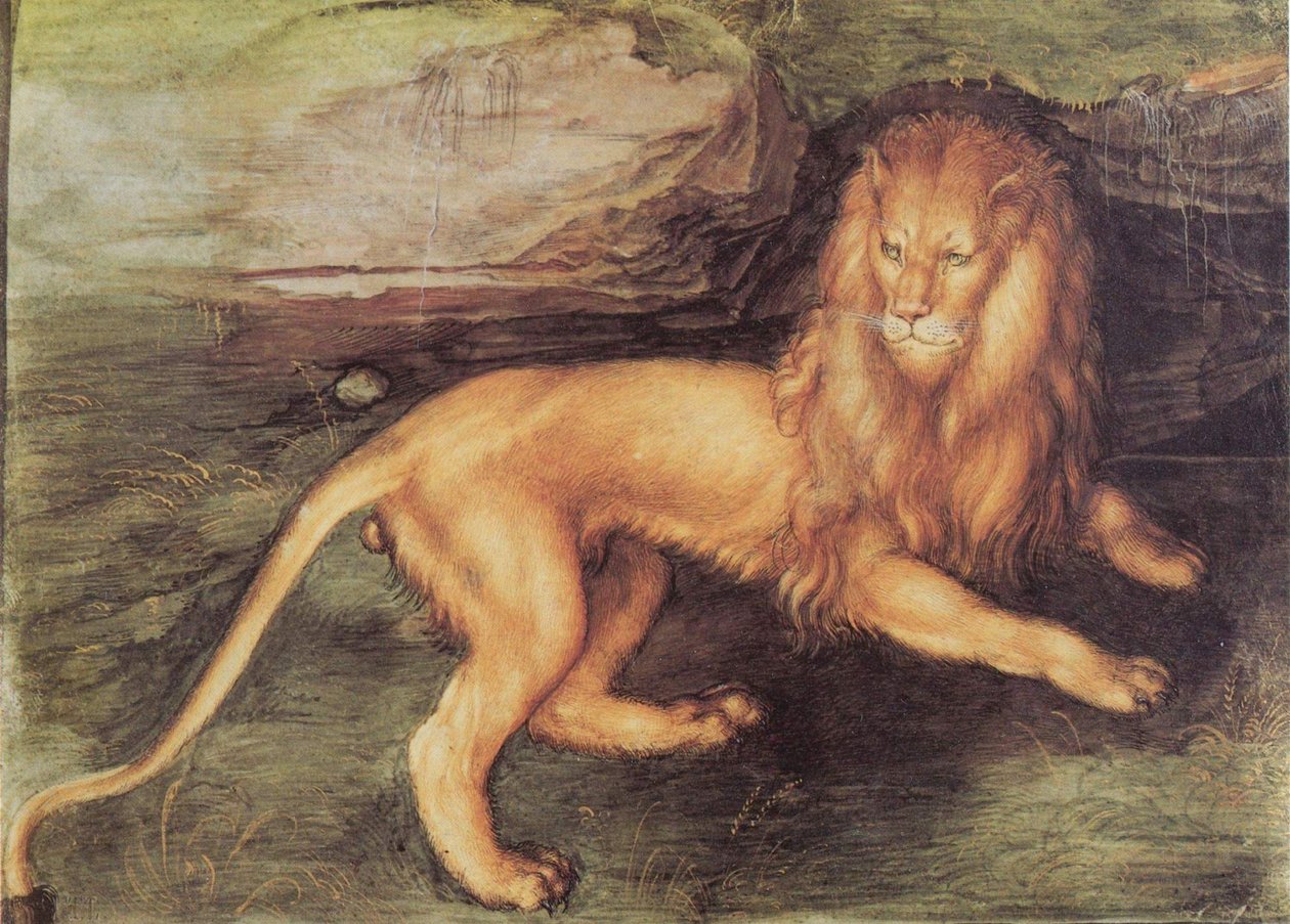 Löwe tekijältä Albrecht Dürer