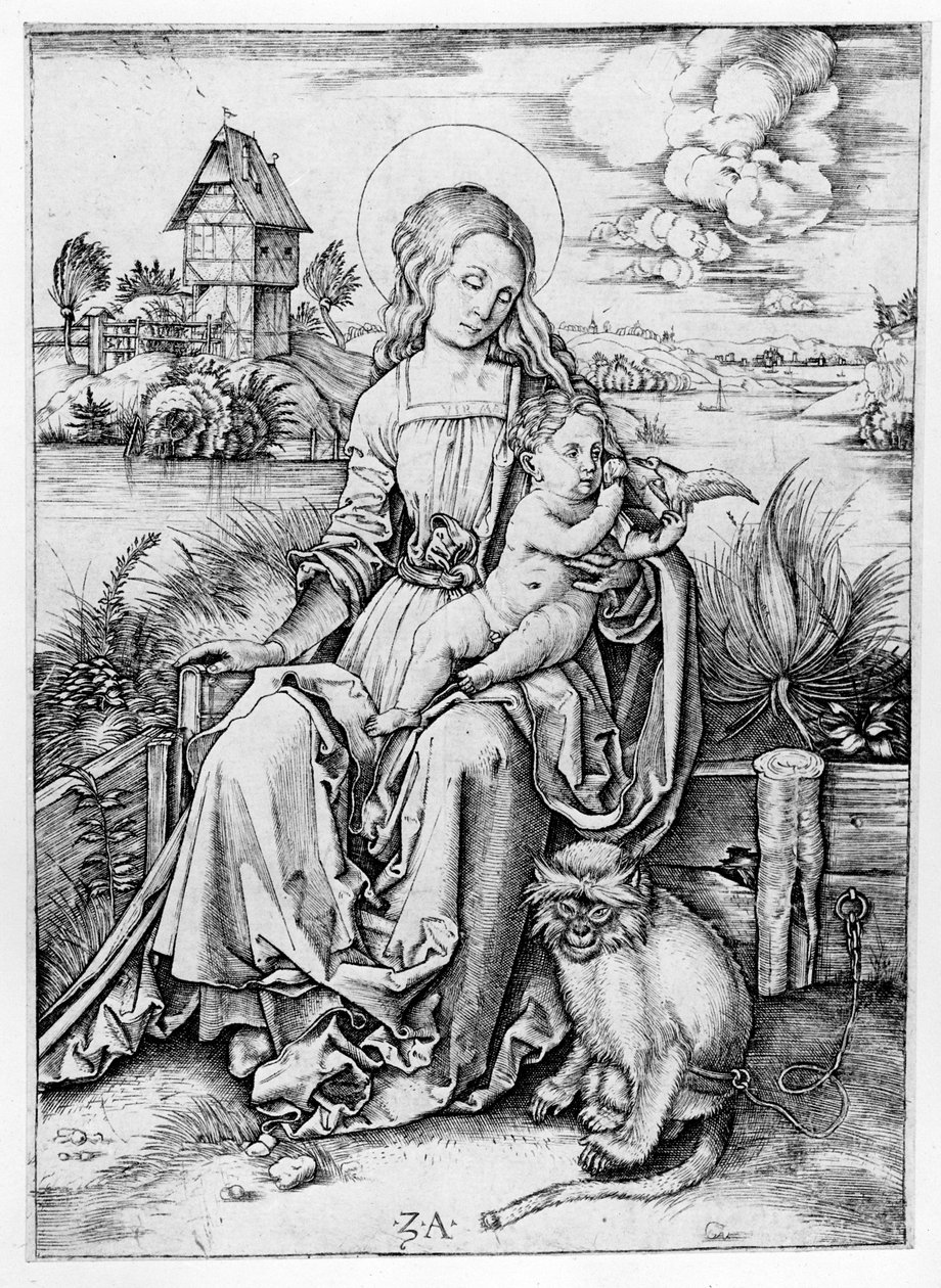 Madonna ja apina tekijältä Albrecht Dürer