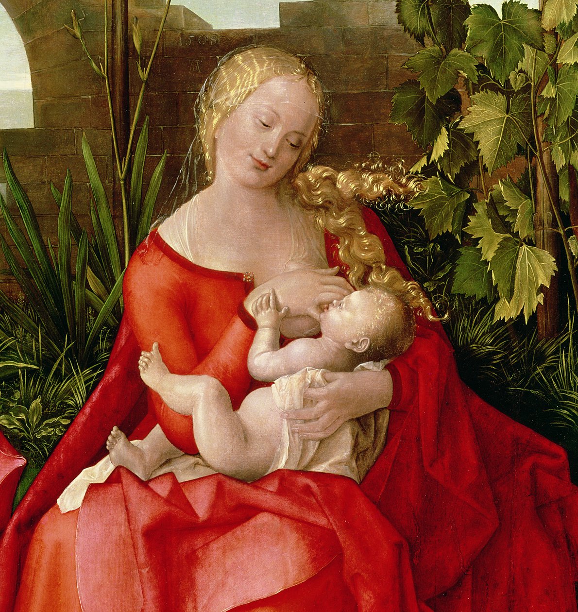 Neitsyt ja lapsi "Madonna iiriksen kanssa", 1508 (tempera paneelissa) (yksityiskohta 22578) tekijältä Albrecht Dürer