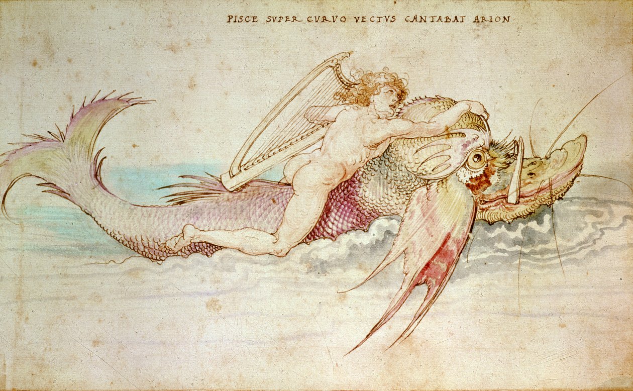 Arion, 1514 tekijältä Albrecht Dürer