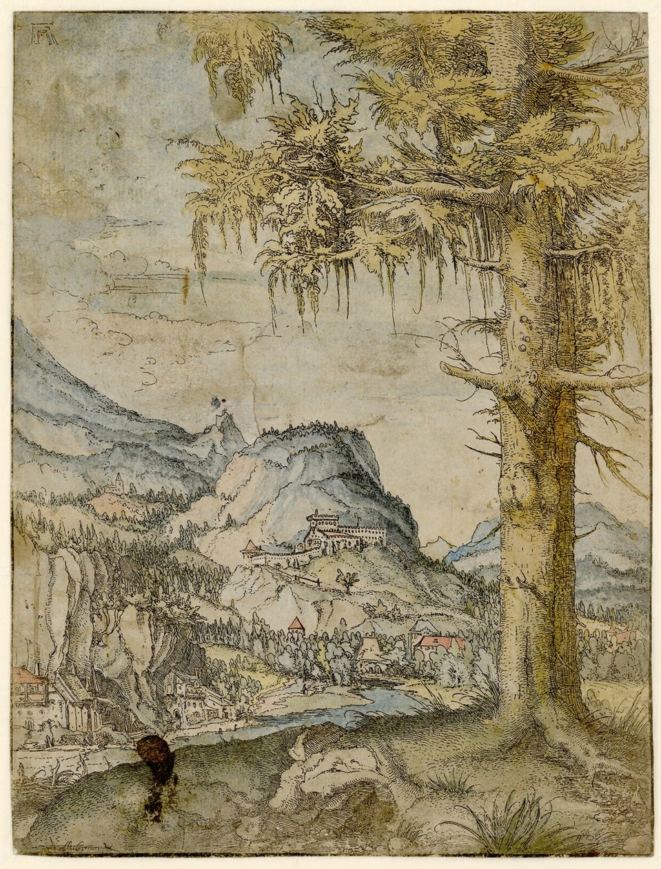 Suuri kuusi, noin 1517-1520. tekijältä Albrecht Altdorfer