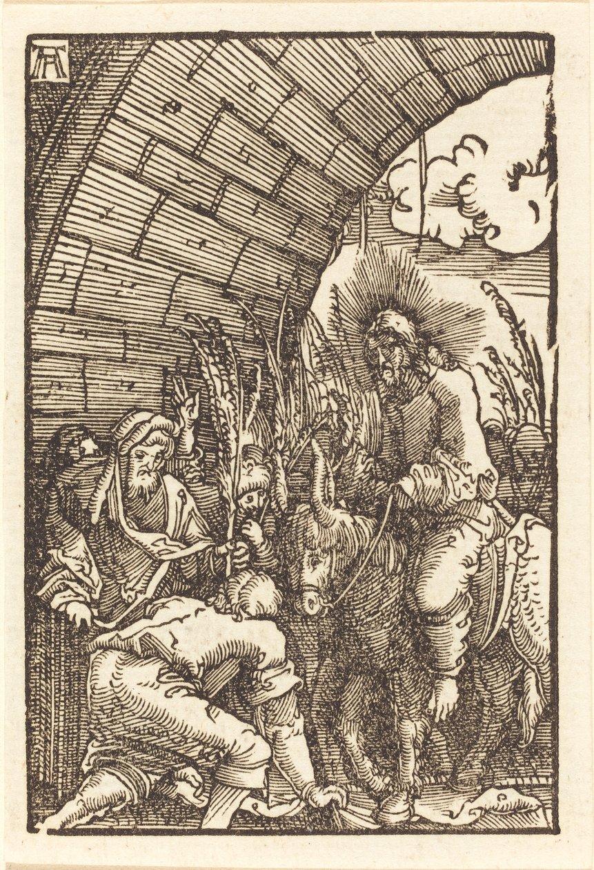 Pääsy Jerusalemiin tekijältä Albrecht Altdorfer