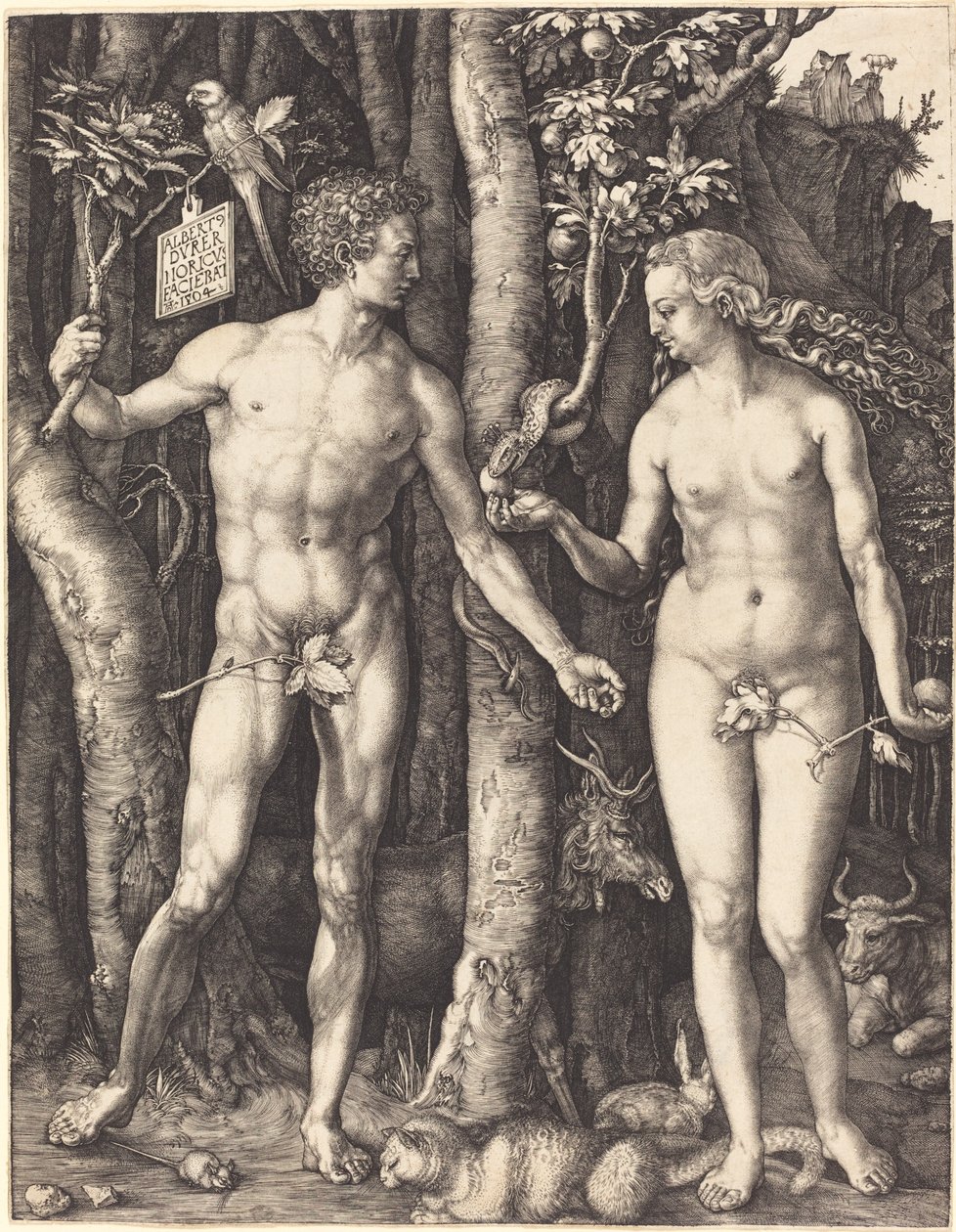 Aatami ja Eeva tekijältä Albrecht Dürer
