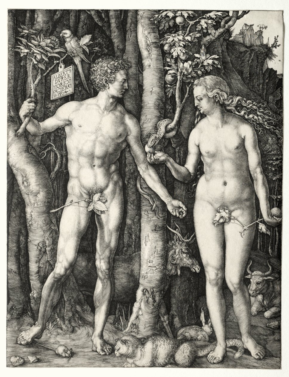 Aatami ja Eeva tekijältä Albrecht Dürer