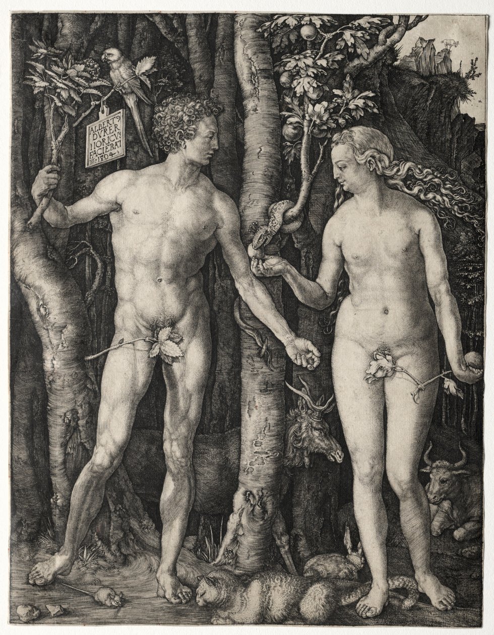 Aatami ja Eeva tekijältä Albrecht Dürer