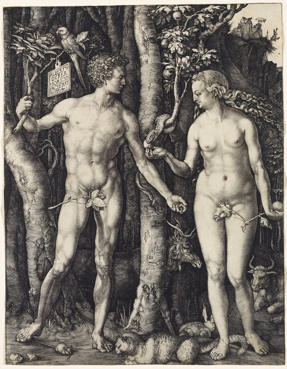 Aatami ja Eeva tekijältä Albrecht Dürer