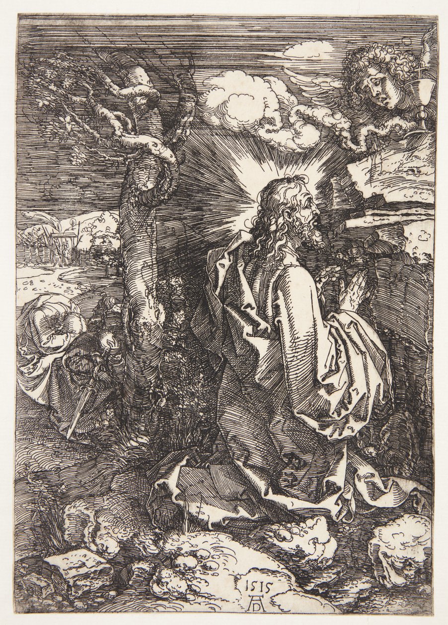 Piha puutarhassa tekijältä Albrecht Dürer