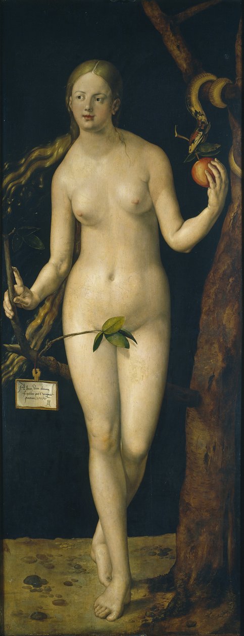 Eeva, 1507 tekijältä Albrecht Dürer