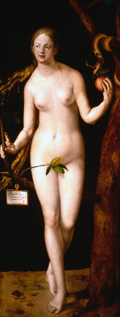 Eeva, 1507 tekijältä Albrecht Dürer