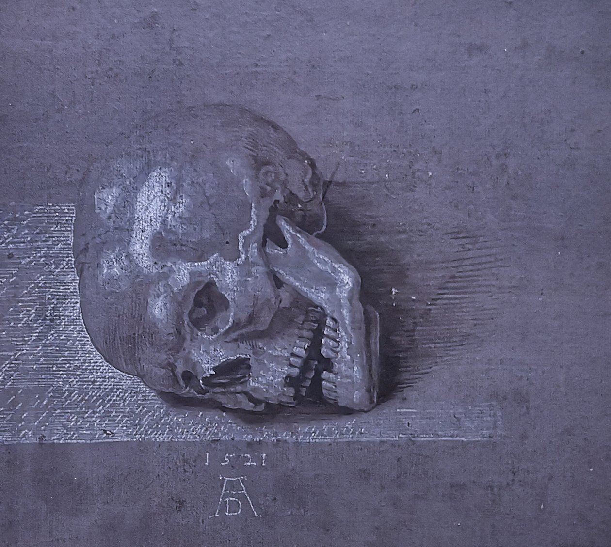 Saksa: Totenschädel. tekijältä Albrecht Dürer