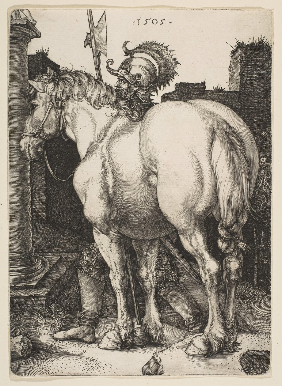 Suuri hevonen, 1505. tekijältä Albrecht Dürer